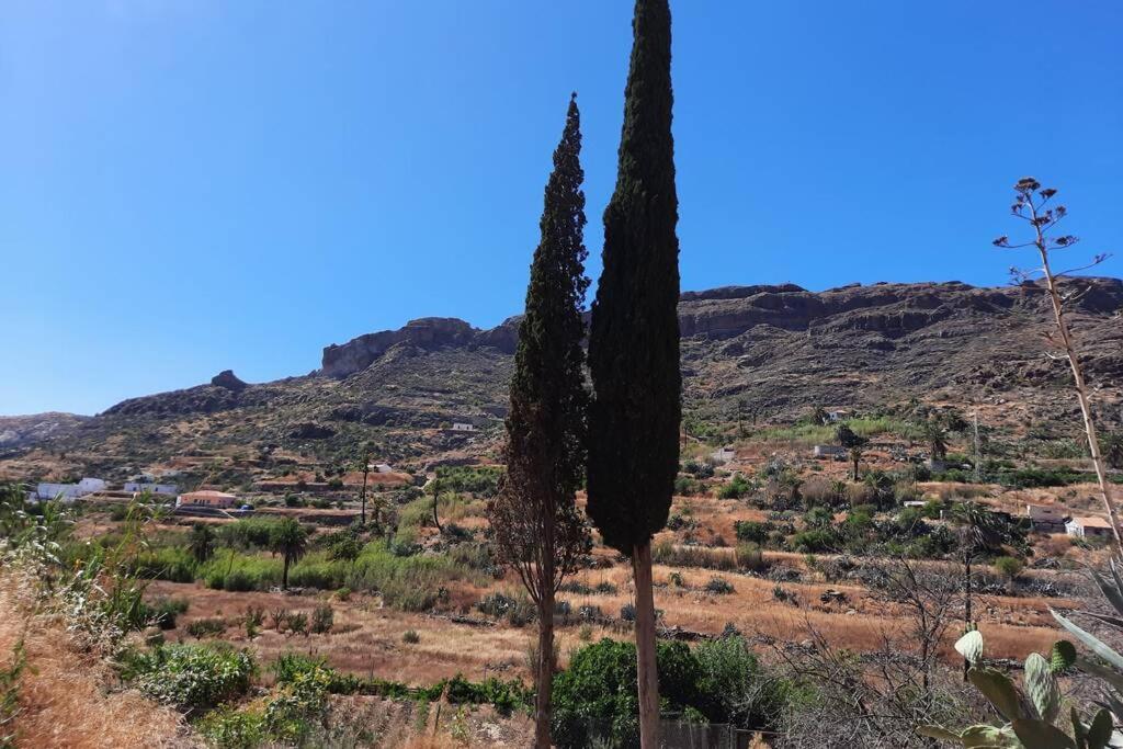 Casa Rural Los Cipreses. Cercados De Arana San Bartolomé Dış mekan fotoğraf