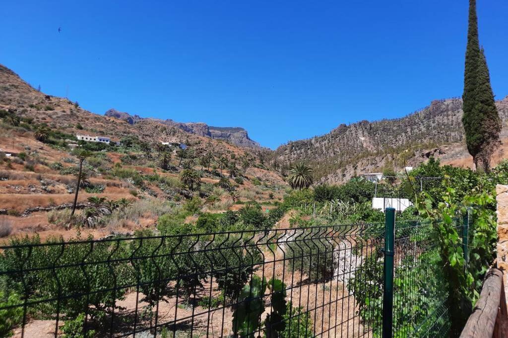 Casa Rural Los Cipreses. Cercados De Arana San Bartolomé Dış mekan fotoğraf